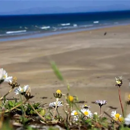 Rougey * Bundoran